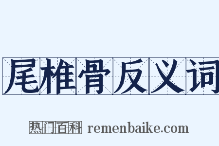 尾椎骨反义词是什么意思的图片
